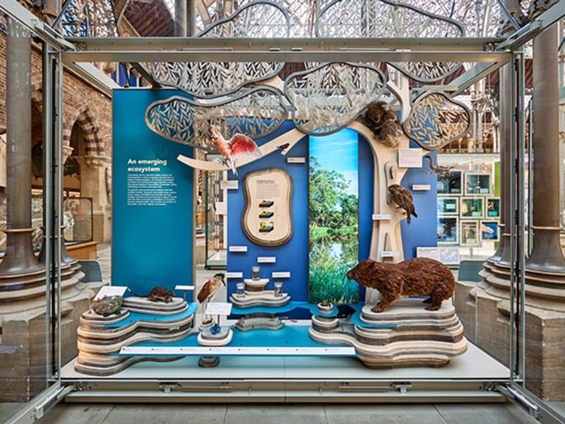 'An Emerging Ecosystem', part of the 'Life As We Know It' display 'An Emerging Ecosystem', part of the 'Life As We Know It' display