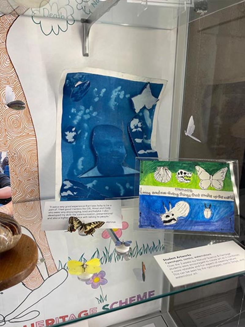 'We Are Nature' - a new display in the Museum's Community Case