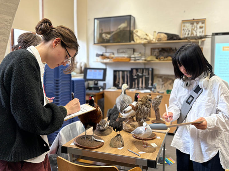 Two young people in a room examine and sketch taxidermy birds displayed on a table, surrounded by natural history specimens and shelves