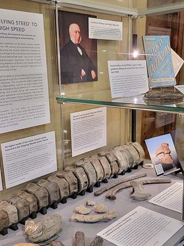 View of the 'Presenting Case' featuring the partial skeleton of an ichthyosaur.