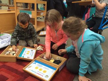 family friendly sundays photo min