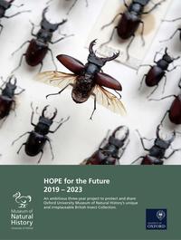 The front page of the HOPE for the Future report 2019-2023