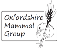 Oxfordshire Mammal Group logo showing a mouse on an ear of corn
